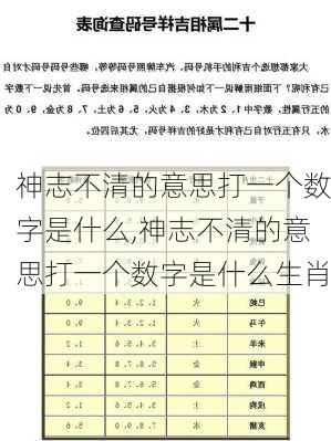 神志不清的意思打一个数字是什么,神志不清的意思打一个数字是什么生肖