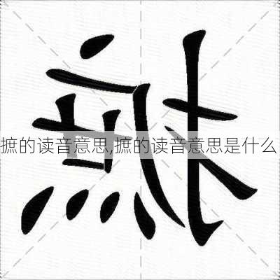 摭的读音意思,摭的读音意思是什么