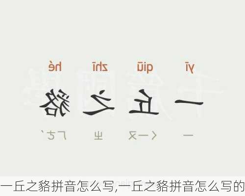 一丘之貉拼音怎么写,一丘之貉拼音怎么写的