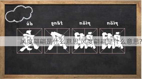 风度翩翩是什么意思,风度翩翩是什么意思?