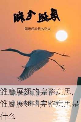 雏鹰展翅的完整意思,雏鹰展翅的完整意思是什么