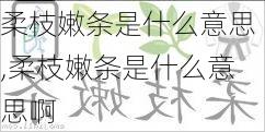 柔枝嫩条是什么意思,柔枝嫩条是什么意思啊