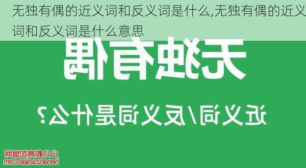 无独有偶的近义词和反义词是什么,无独有偶的近义词和反义词是什么意思