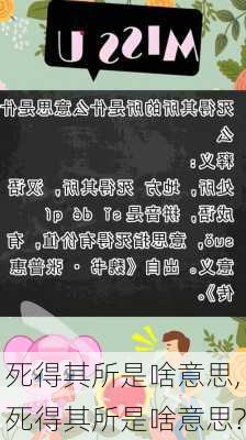 死得其所是啥意思,死得其所是啥意思?