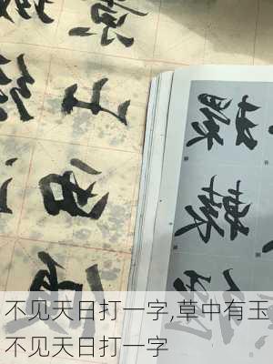 不见天日打一字,草中有玉不见天日打一字