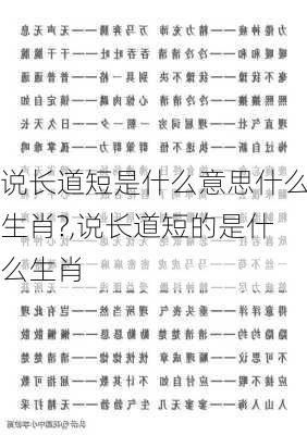 说长道短是什么意思什么生肖?,说长道短的是什么生肖