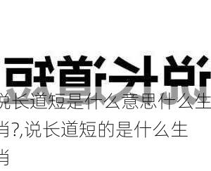 说长道短是什么意思什么生肖?,说长道短的是什么生肖