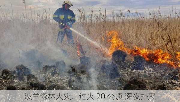 波兰森林火灾：过火 20 公顷 深夜扑灭