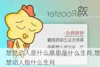 楚楚动人是什么意思是什么生肖,楚楚动人指什么生肖