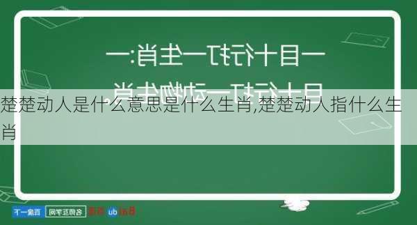 楚楚动人是什么意思是什么生肖,楚楚动人指什么生肖