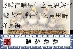 嗷嗷待哺是什么意思解释,嗷嗷待哺是什么意思解释词语