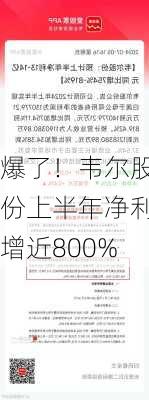 爆了！韦尔股份上半年净利增近800%