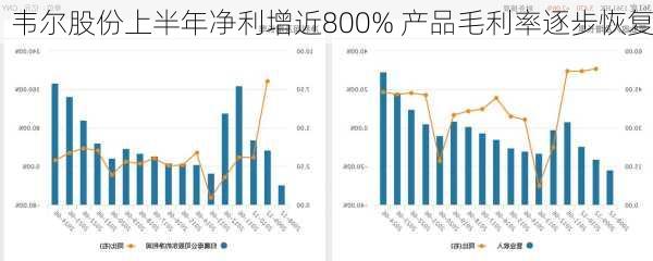 韦尔股份上半年净利增近800% 产品毛利率逐步恢复