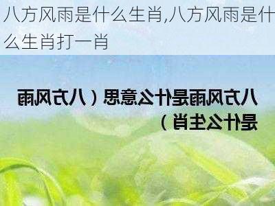 八方风雨是什么生肖,八方风雨是什么生肖打一肖