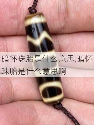 暗怀珠胎是什么意思,暗怀珠胎是什么意思啊