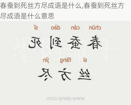 春蚕到死丝方尽成语是什么,春蚕到死丝方尽成语是什么意思