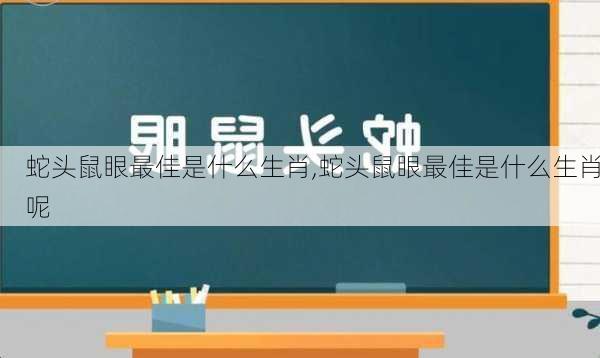 蛇头鼠眼最佳是什么生肖,蛇头鼠眼最佳是什么生肖呢