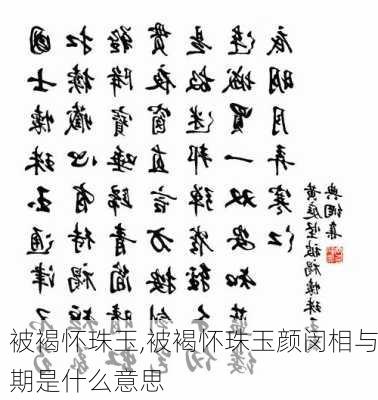 被褐怀珠玉,被褐怀珠玉颜闵相与期是什么意思