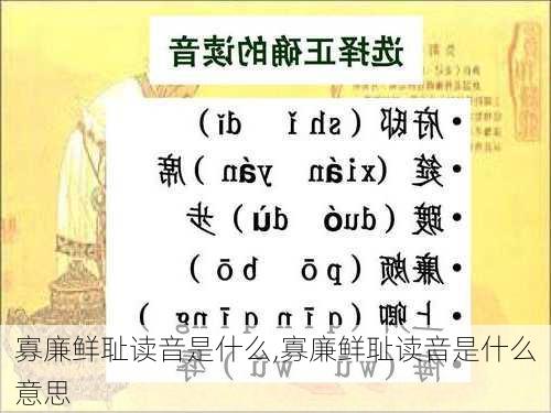 寡廉鲜耻读音是什么,寡廉鲜耻读音是什么意思