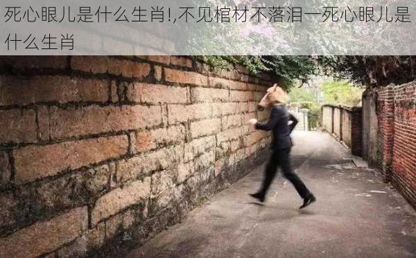 死心眼儿是什么生肖!,不见棺材不落泪一死心眼儿是什么生肖