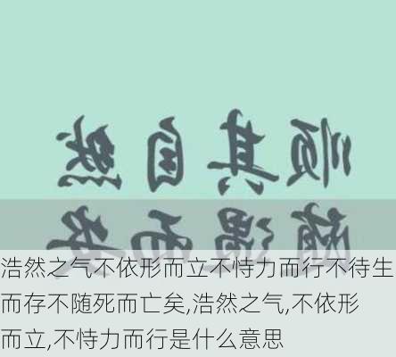 浩然之气不依形而立不恃力而行不待生而存不随死而亡矣,浩然之气,不依形而立,不恃力而行是什么意思