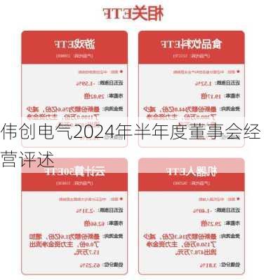 伟创电气2024年半年度董事会经营评述