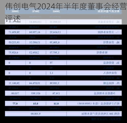 伟创电气2024年半年度董事会经营评述