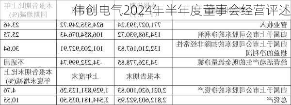 伟创电气2024年半年度董事会经营评述