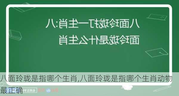 八面玲珑是指哪个生肖,八面玲珑是指哪个生肖动物最正确