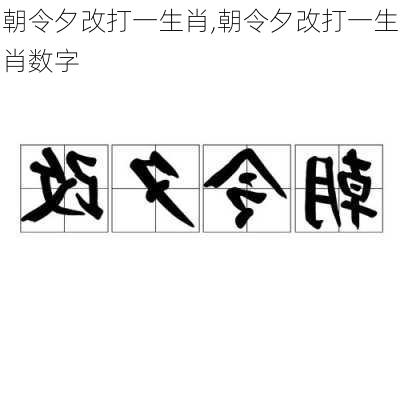 朝令夕改打一生肖,朝令夕改打一生肖数字