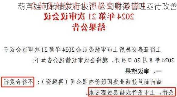 葫芦娃可转债发行被否 公司财务管理亟待改善