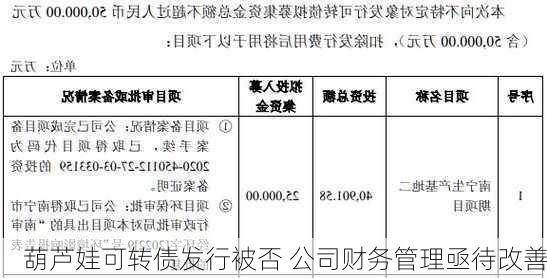 葫芦娃可转债发行被否 公司财务管理亟待改善