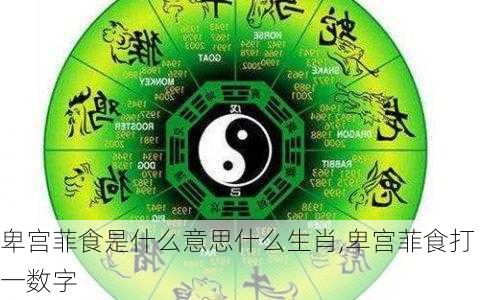 卑宫菲食是什么意思什么生肖,卑宫菲食打一数字