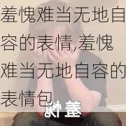 羞愧难当无地自容的表情,羞愧难当无地自容的表情包