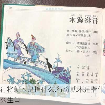 行将就木是指什么,行将就木是指什么生肖