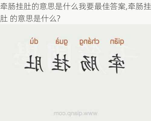 牵肠挂肚的意思是什么我要最佳答案,牵肠挂肚 的意思是什么?