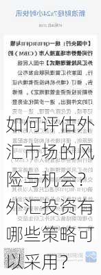 如何评估外汇市场的风险与机会？外汇投资有哪些策略可以采用？