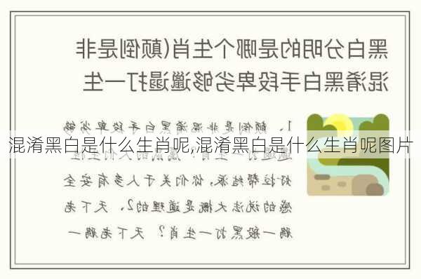 混淆黑白是什么生肖呢,混淆黑白是什么生肖呢图片