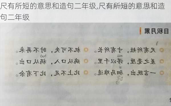 尺有所短的意思和造句二年级,尺有所短的意思和造句二年级