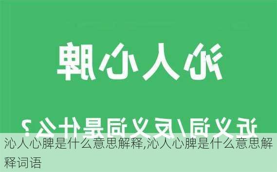 沁人心脾是什么意思解释,沁人心脾是什么意思解释词语