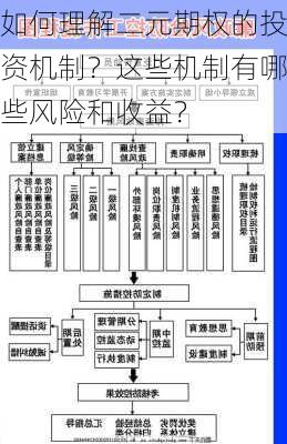 如何理解二元期权的投资机制？这些机制有哪些风险和收益？