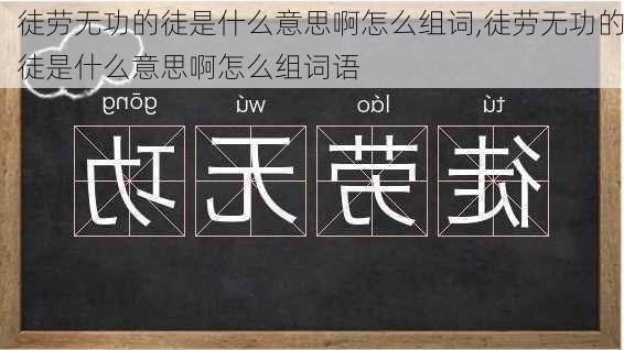 徒劳无功的徒是什么意思啊怎么组词,徒劳无功的徒是什么意思啊怎么组词语