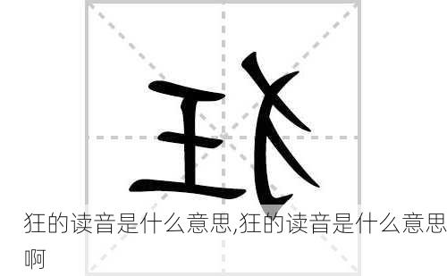 狂的读音是什么意思,狂的读音是什么意思啊