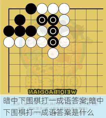 暗中下围棋打一成语答案,暗中下围棋打一成语答案是什么