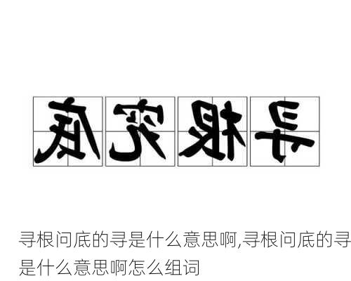 寻根问底的寻是什么意思啊,寻根问底的寻是什么意思啊怎么组词