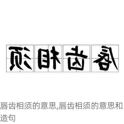 唇齿相须的意思,唇齿相须的意思和造句