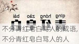 不分青红皂白骂人的成语,不分青红皂白骂人的人