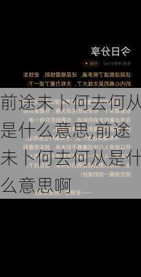 前途未卜何去何从是什么意思,前途未卜何去何从是什么意思啊