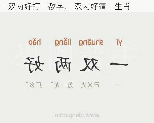 一双两好打一数字,一双两好猜一生肖