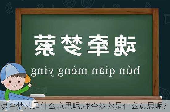 魂牵梦萦是什么意思呢,魂牵梦萦是什么意思呢?